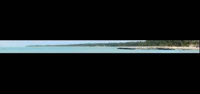 49338-400x189