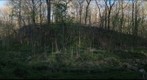 Frick Park Wetlands