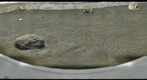 Lunar Regolith Test Bed 2010.04.08 C