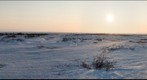 Kotzebue wanderwoof and a robot