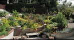 Southern California Drought-Tolerant Garden