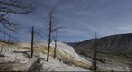Upper Terrace, Mammoth Hot Springs, Yellowstone National Park, Wyoming, USA