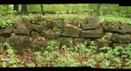 NFG Limestone Ledge