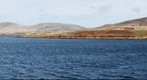 New Island The Falkland Islands