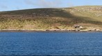 West Point Island in The Falkland Islands 