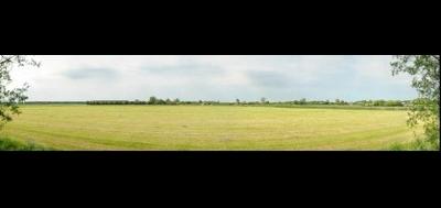 50242-400x189