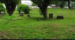Historic Midland Cemetery in Steelton Pennsylvania- From top looking down