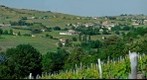 Julienas en Beaujolais