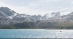 Gold Harbour, South Georgia 