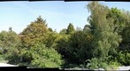 Gilbert Road Gardens