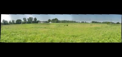 50318-400x189