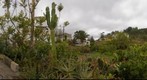 Valleseco. Isla de Gran Canaria