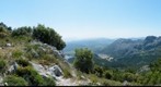 1-Ruta del Pinsapar