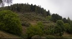 Carretera de Valleseco a la Cruz de Tejeda. Isla de Gran Canaria