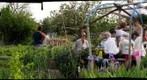 Andys allotment pizza day 