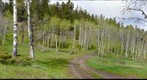 The road less travelled...Upper Hat Creek