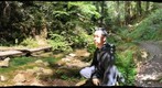 Big Basin State Park, streamside