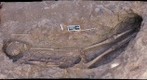 Qedemt GraveS4