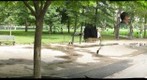 Vietnam Veterans Memorial Long Shot