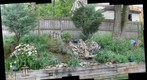 jacks BackYard