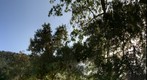 Escondido Creek Conservancy