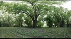 Sandy Hollow