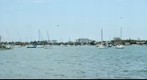 Miami Sailboats