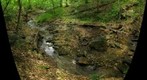 Thomas Mill Stream 2