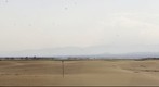 Delta del Ebro - Punta Fangar