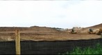 Dairy Bush construction - 100602
