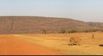 SAFARI