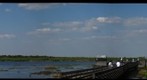Myakka River State Park Birdwalk
