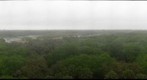 Myakka River State Park Canopy Walk Tower