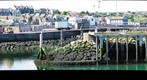 EYEMOUTH, south east of Scotland