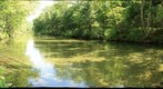 Swift River, Massachusetts June 4 2010