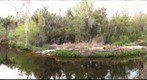 Little Manatee River State Park Picnic Area