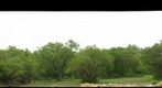 Texas 281 RV Park Meadow