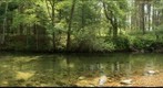 Swift River downstream of Quabbin Reservoir