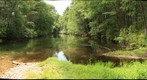 Swift River MA looking downstream