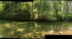 Swift River upstream and down