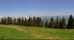 On the way from the Wildspitz down to Sattel
