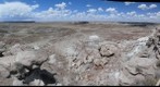 PETRIFIED FOREST