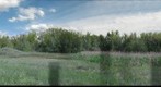 Meet Your Neighbors: Site 1