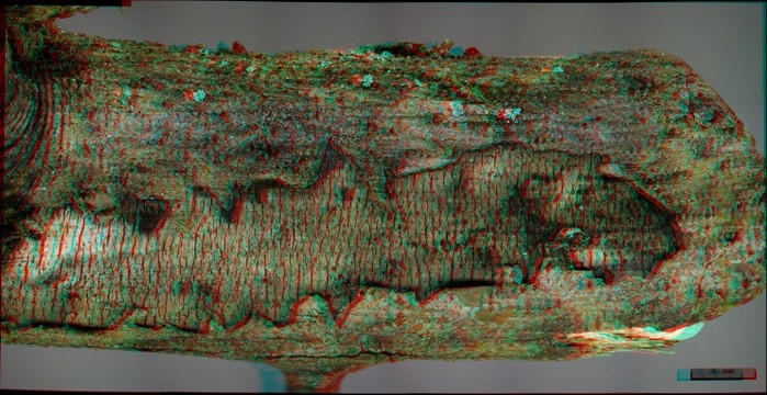 51402-699x360