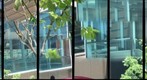 Squirrel Hill Library