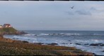 Pigeon Point Lighthouse
