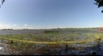 View Loosdrechtseplassen