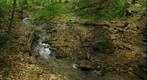 Thomas Mill Stream 2 Warped