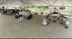 NASA Summer Of Innovation (4)