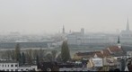 foggy linz